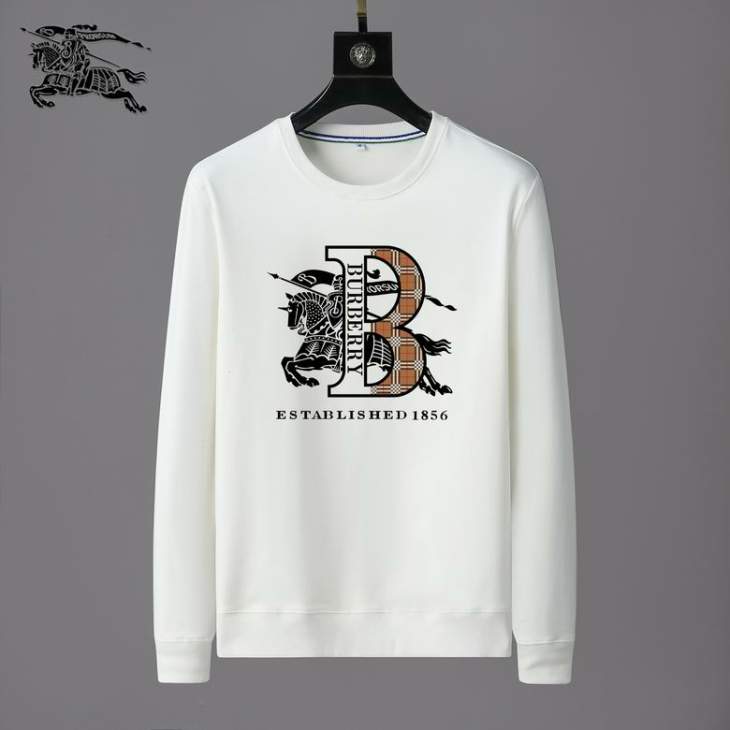 Picture of Burberry Sweatshirt _SKUBurberrys-3xl25t1231041
